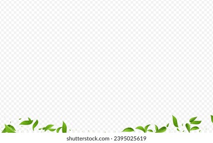 Lime Foliage Abstract Vector Transparent Background Banner. Organic Greens Template. Grassy Leaf Flying Branch. Leaves Swirl Border.