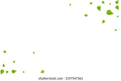 Lime Foliage Abstract Vector White Background Poster. Wind Leaves Border. Mint Greens Herbal Illustration. Leaf Forest Branch.