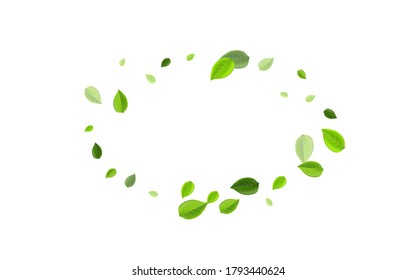 Lime Foliage Blur Vector Illustration. Tea Leaf Template. Forest Leaves Fresh Design. Greens Forest Pattern.