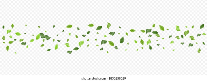 Lime Foliage Blur Vector Panoramic Transparent Background Pattern. Wind Leaves Illustration. Forest Leaf Swirl Border. Greenery Falling Brochure.