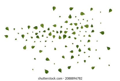 Lime Foliage Blur Vector White Background Template. Flying Leaf Backdrop. Grassy Greens Nature Border. Leaves Herbal Wallpaper.