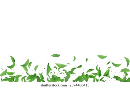 Lime Foliage Blur Vector White Background Pattern. Realistic Leaf Design. Grassy Greens Transparent Brochure. Leaves Wind Banner.