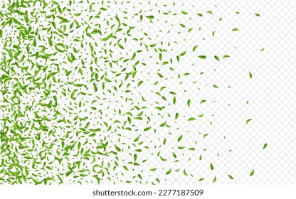 Kalkblätterökologie, Vektorgrafik, transparenter Hintergrund. Flying Leaves Design. Mint Greens Abstraktes Muster. Leaf Wind Banner.