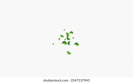 Lime Foliage Ecology Vector Transparent Background. Fly Greens Backdrop. Forest Leaf Realistic Border. Leaves Herbal Concept.