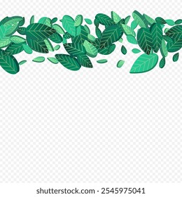 Follaje de cal que cae el patrón de fondo transparente del Vector. Ilustración de hojas de Naturaleza. Rama de viento de hoja de menta. Fondo de pantalla de primavera de los Verdes.