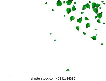 Lime Foliage Falling Vector White Background Border. Abstract Leaf Poster. Green Leaves Blur Pattern. Greens Fresh Branch.