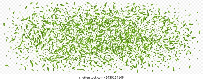 Vector de la mosca del follaje de cal Panorámico Banner de fondo transparente. Diseño de hojas orgánicas. Olive Leaves Motion Concept. Plantilla de Bosque Verde.
