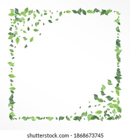 Lime Foliage Flying Vector White Background Illustration. Wind Leaves Poster. Grassy Greenery Forest Plant. Leaf Fly Banner.