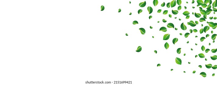 Lime Foliage Forest Vector Panoramic White Background. Tea Leaves Pattern. Grassy Greens Motion Concept. Leaf Tree Wallpaper.