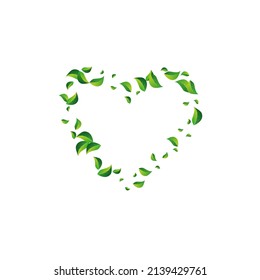 Kalkfolien Frische Vektorweißer Hintergrund. Ökologie hinterlässt Design. Grüne Laubbaumpflanze. Grüner Naturhintergrund.