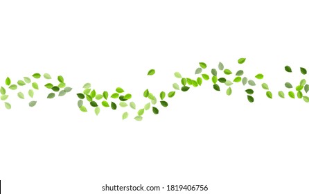 Lime Foliage Motion Vector Template. Fly Leaf Plant. Swamp Greens Transparent Design. Leaves Flying Brochure.