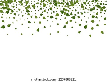 Lime Foliage Motion Vector White Background Template. Spring Leaves Concept. Mint Greens Transparent Border. Leaf Falling Wallpaper.