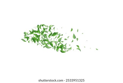 Lime Foliage Motion Vector White Background Border. Abstract Greens Poster. Grassy Leaves Fly Design. Leaf Tree Illustration.