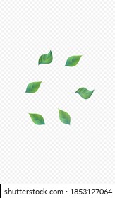Lime Foliage Nature Vector Transparent Background Pattern. Fresh Leaf Design. Olive Leaves Herbal Backdrop. Greenery Organic Banner.