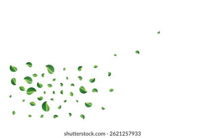 Lime Foliage Nature Vector White Background. Falling Leaf Branch. Green Greens Forest Concept. Leaves Fresh Banner.