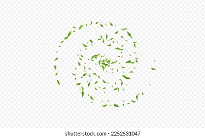 Lime Foliage Organic Vector Transparent Background Template. Abstract Leaves Poster. Swamp Leaf Fresh Design. Greens Nature Backdrop.