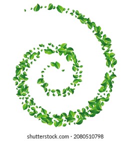 Kalkblättriger organischer Vektorweißer Hintergrund. Baumbeißhintergrund. Grassy Greens Wind Broschüre. Lässt den unscharfen Zweig.