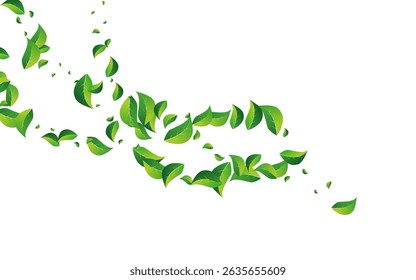 Lime Foliage Organic Vector White Background. Transparent Leaf Pattern. Forest Leaves Wind Backdrop. Greens Flying Border.
