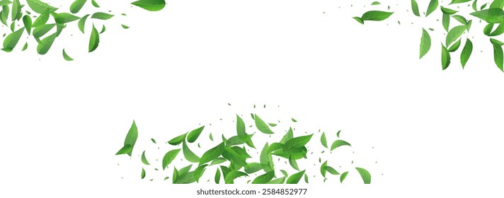 Lime Foliage Realistic Vector Panoramic White Background Illustration. Transparent Leaves Template. Green Leaf Flying Concept. Greens Swirl Banner.