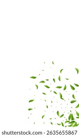 Lime Foliage Realistic Vector White Background Pattern. Ecology Leaves Branch. Mint Greens Transparent Banner. Leaf Fresh Wallpaper.