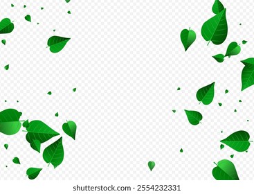 Lime Foliage Spring Vector Transparent Background Concept. Falling Greens Backdrop. Swamp Leaves Motion Template. Leaf Organic Illustration.