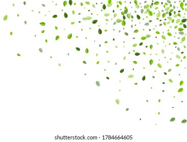 Lime Foliage Swirl Vector Design. Organic Greens Wallpaper. Swamp Leaves Tree Concept. Leaf Flying Border.