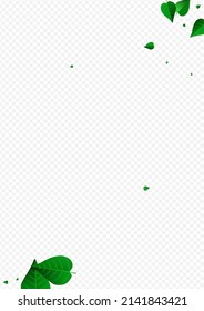 Lime Foliage Swirl Vector Transparent Background Banner. Falling Leaf Illustration. Mint Leaves Nature Backdrop. Greens Herbal Concept.