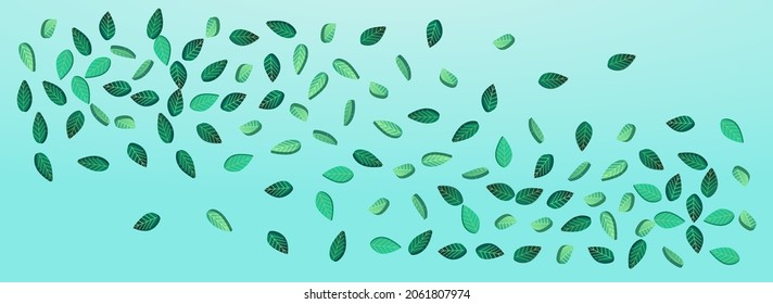 Lime Foliage Tea Vector Panoramic Blue Background Background. Nature Greens Poster. Forest Leaves Ecology Plant. Leaf Wind Template.