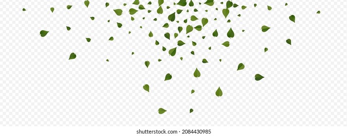 Lime Foliage Tea Vector Panoramic Transparent Background Backdrop. Wind Leaves Plant. Swamp Greens Forest Wallpaper. Leaf Blur Pattern.