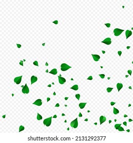 Lime Foliage Tea Vector Transparent Background Border. Nature Greens Wallpaper. Grassy Leaves Spring Illustration. Leaf Tree Banner.