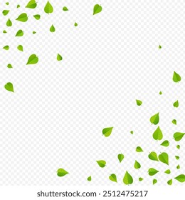 Lime Foliage Transparent Vector Transparent Background Poster. Blur Leaf Design. Olive Leaves Fly Backdrop. Greens Motion Wallpaper.