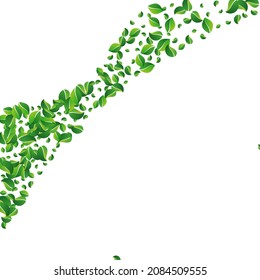 Lime Foliage Transparent Vector White Background. Herbal Greens Brochure. Forest Leaf Fly Concept. Leaves Ecology Pattern.