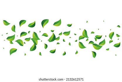 Lime Foliage Transparent Vector White Background. Abstract Greens Pattern. Forest Leaf Tea Template. Leaves Swirl Brochure.
