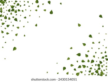 Fondo blanco transparente del vector del follaje de la cal. Desenfocar ilustración de hoja. Planta abstracta de hojas de bosque. Rama Fresca Verde.