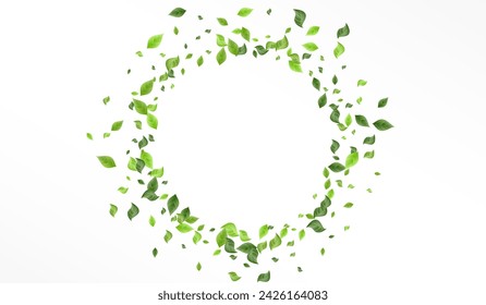 Lime Foliage Tree Vector White Background Poster. Motion Leaves Design. Forest Greenery Swirl Pattern. Leaf Realistic Brochure.