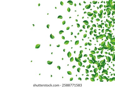 Lime Foliage Tree Vector White Background. Transparent Leaf Branch. Green Greens Abstract Brochure. Leaves Realistic Concept.