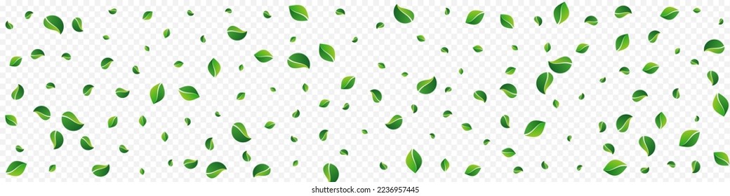 Lime Foliage Wind Vector Panoramic Transparent Background. Tree Leaves Plant. Forest Leaf Motion Backdrop. Greens Flying Poster.
