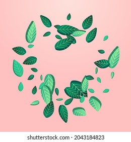 Lime Foliage Wind Vector Pink Background Background. Tree Leaf Concept. Mint Leaves Transparent Design. Greens Nature Poster.