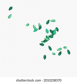 Lime Foliage Wind Vector Transparent Background Backdrop. Abstract Leaf Banner. Forest Greens Ecology Design. Leaves Fly Background.