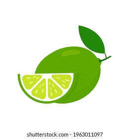 Lime fresh slices set. Cut limes fruit slice for lemonade juice. Vitamin C. Citrus icons vector illustration isolated on white background.