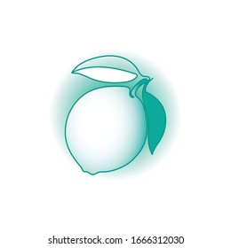 Lime fruit, continuous linear drawing, contour concept in cool green color on a white gradient background. Design element for logo, label.
