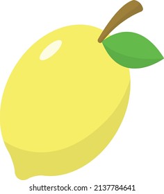 Lime Fruit Cute Flat Illustration