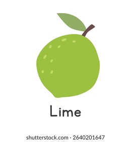 Lime fruit flat vector illustration. Green lime cartoon clipart style isolated on white background. Common fruit and Citrus fruit concept