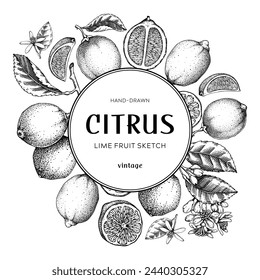Lime fruit frame. Botanical design template. Citrus fruit sketches. Exotic plants banner. Hand drawn vector illustration. NOT AI generated
