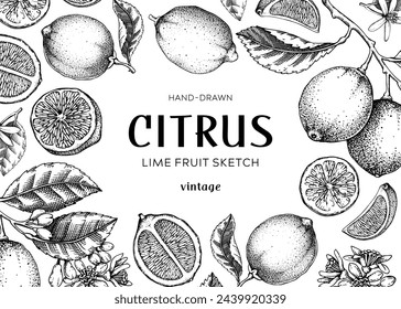 Lime fruit frame. Exotic plants design template. Citrus fruit sketches. Summer background. Hand drawn vector illustration. NOT AI generated
