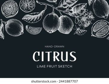 Lime fruit frame. Exotic plants design template. Citrus fruit sketches on chalkboard. Summer background. Hand drawn vector illustration. NOT AI generated