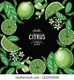 Lime fruit frame. Fresh citrus collection. Hand drawn vector illustration. Organic food, citrus design template. Colored illustration.