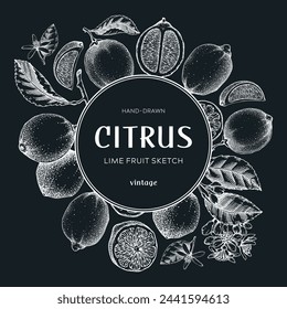 Flor de fruta de lima. Plantilla de diseño botánico. Esbozos de cítricos en pizarra. Marco de plantas exóticas. Dibujado a mano ilustración vectorial. NO AI generado