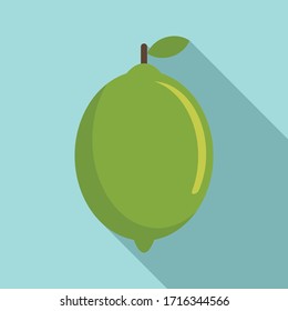 Lime fruit icon. Flat illustration of lime fruit vector icon for web design