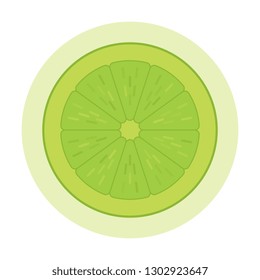 lime fruit icon. flat sign of natural organic fruit in circle on white background. colorful vector illustration easy to edit and customize. eps 10